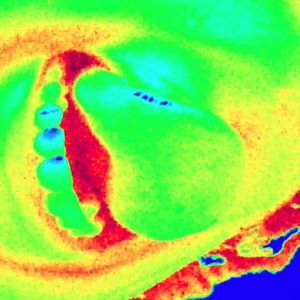 Meet your Posher, Jaden